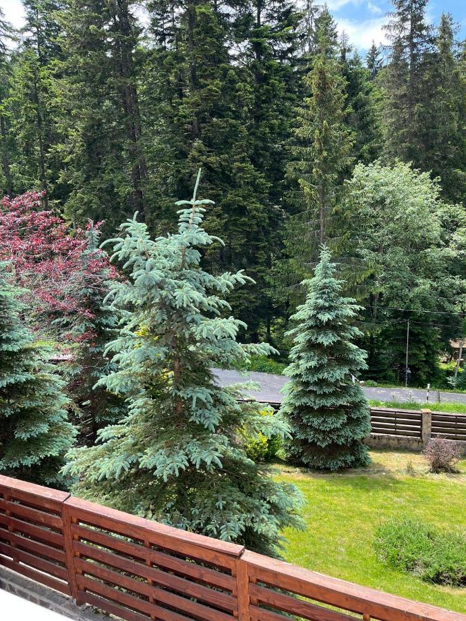 Vila 7 Predeal - Unique Location In The Forest Экстерьер фото
