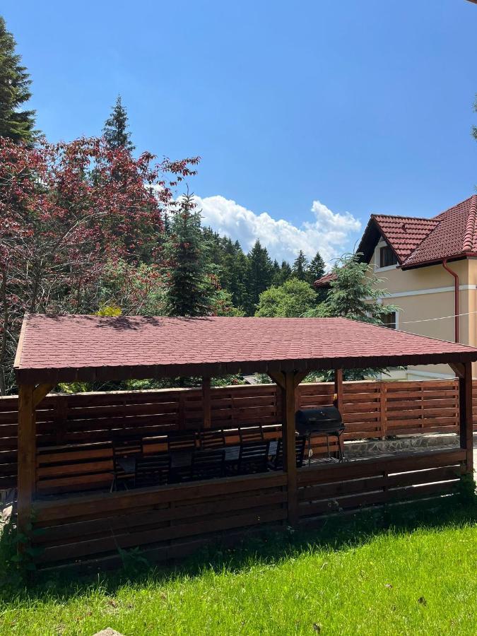 Vila 7 Predeal - Unique Location In The Forest Экстерьер фото