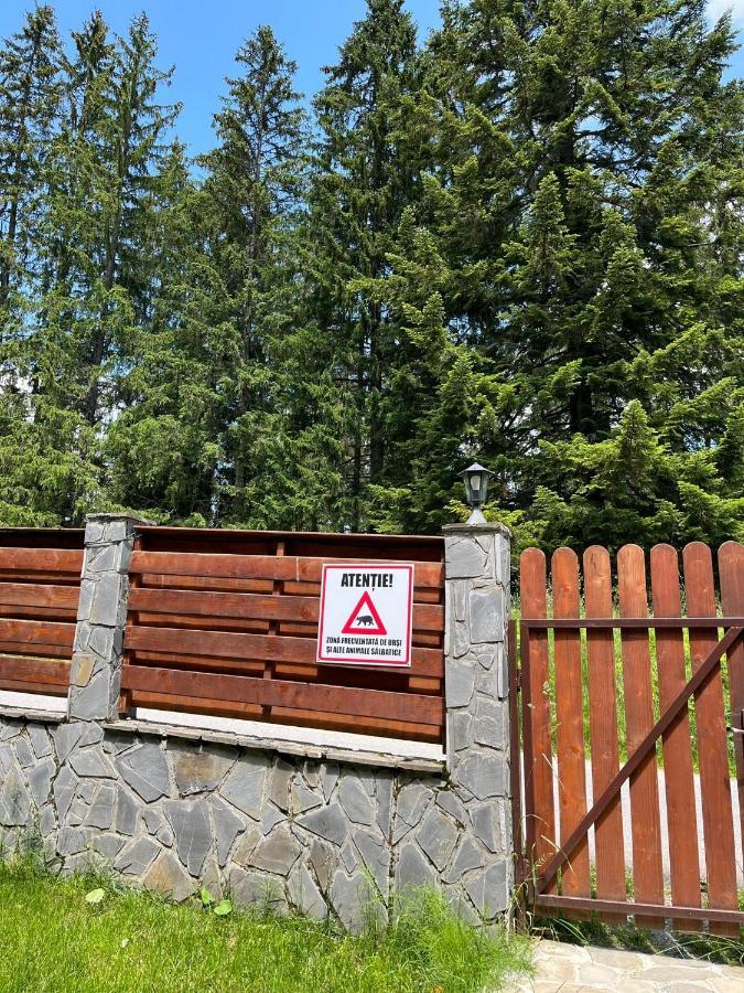 Vila 7 Predeal - Unique Location In The Forest Экстерьер фото